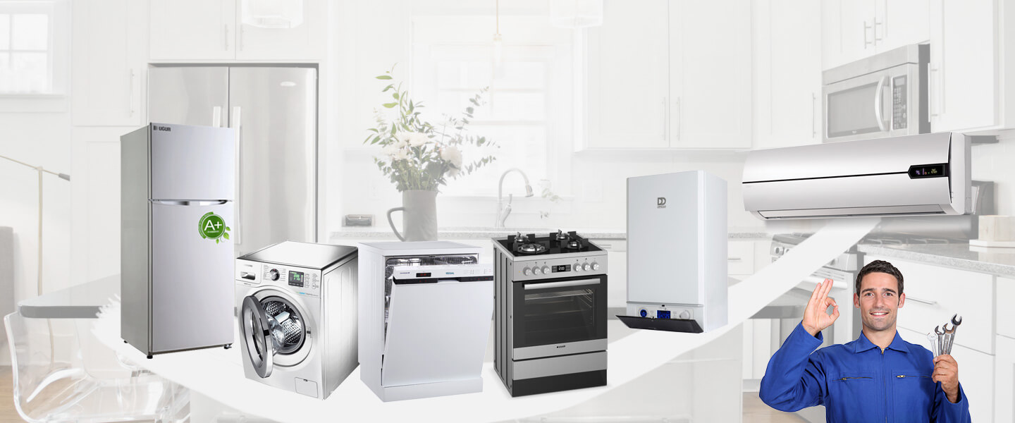 Büyükorhan Philips Servisi